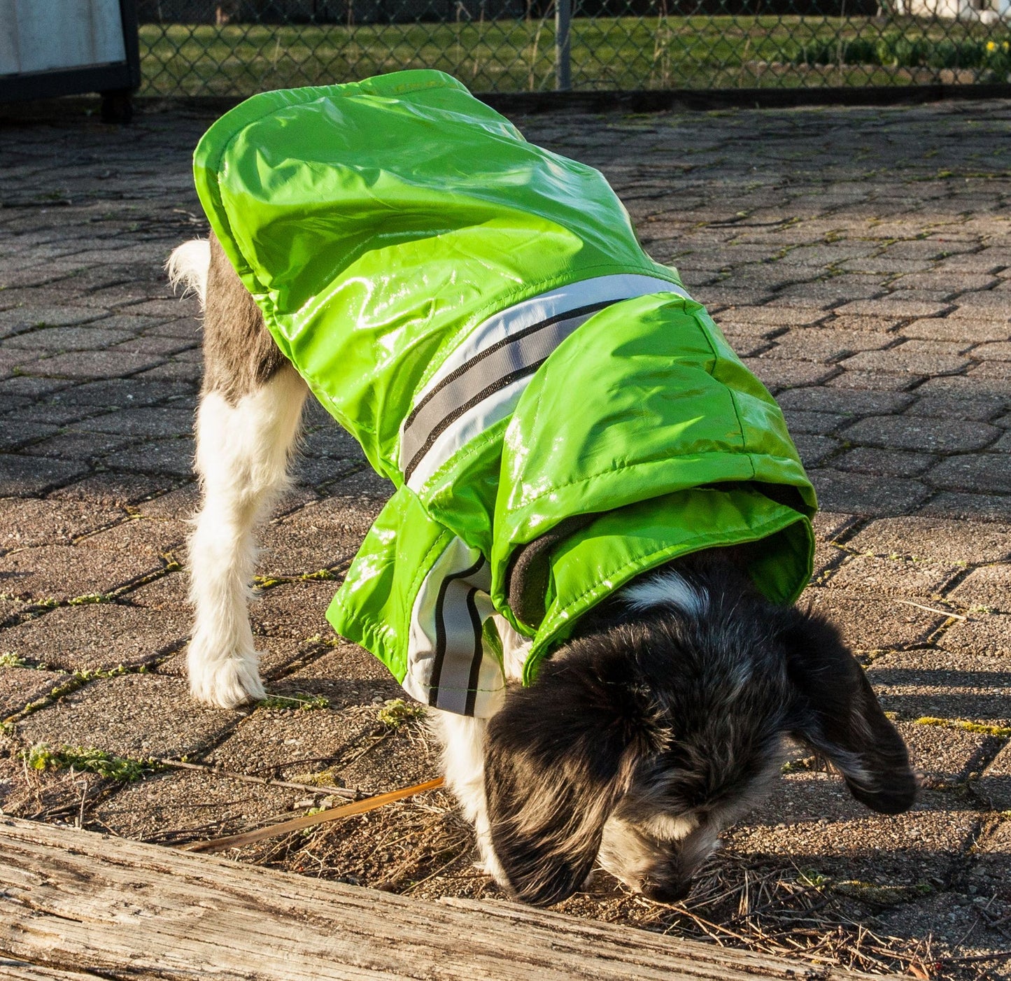 Reflecta-Glow Reflective Waterproof Adjustable Pvc Pet Raincoat