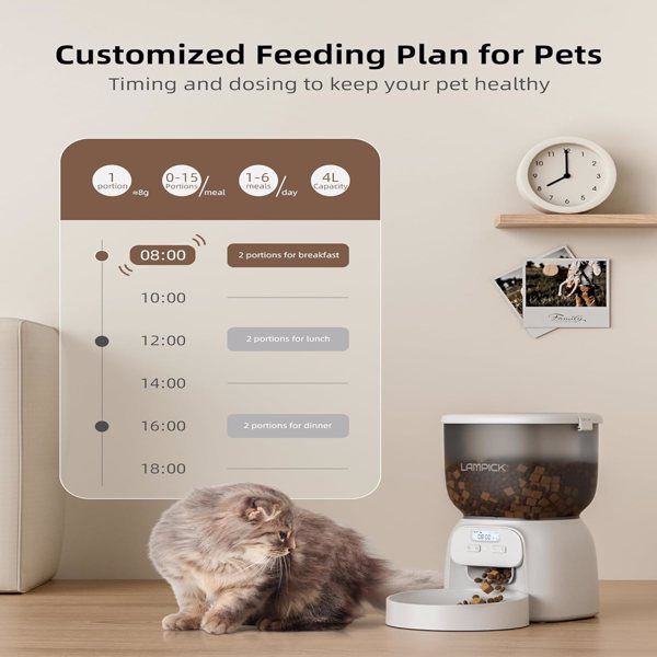 Automatic Cat Feeder, 4L Detachable Cat Food Dispenser for Dry Food Up to 15 Portions(8g/Portion) 6 Meals Per Day, Dual Power Supply Timed Cat Feeders(banned by Amazon)