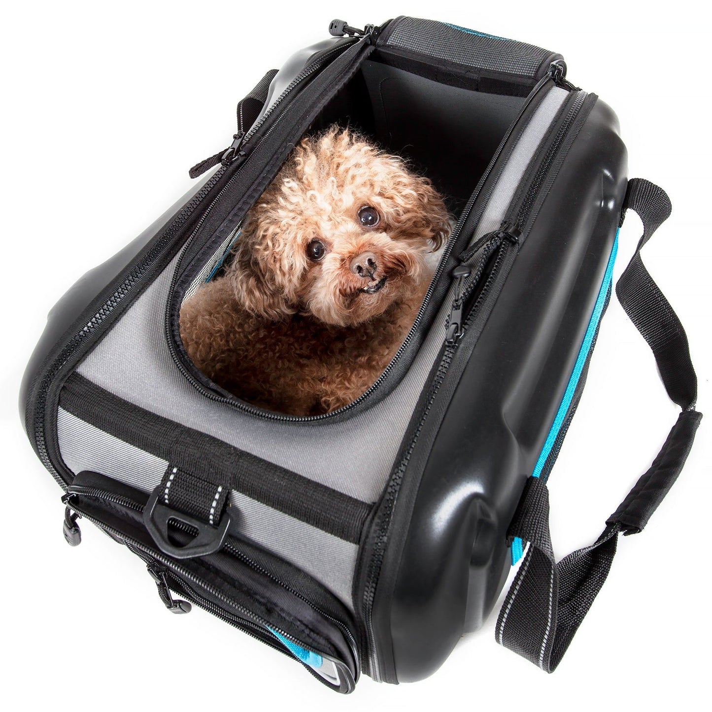 The Airline Approved Collapsible Lightweight Ergo Stow-Away Contoured Pet Carrier