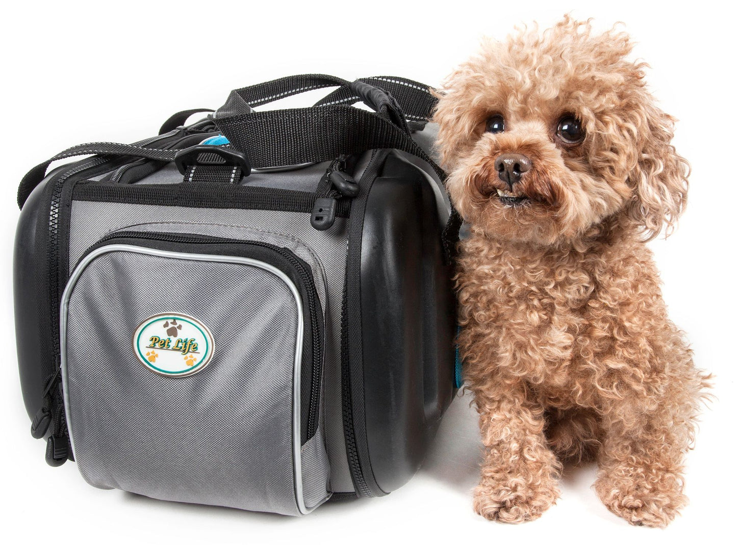 The Airline Approved Collapsible Lightweight Ergo Stow-Away Contoured Pet Carrier